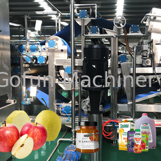 10 - 100T/D SUS 304 Automação Linha de processamento de suco de maçã Projetos chave na mão