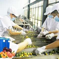 Equipamento do produto comestível usado na concentração do suco do processamento de suco de fruto