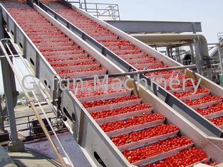 O PLC controla a linha de processamento ciclismo do tomate da máquina da transformação de produtos alimentares da água