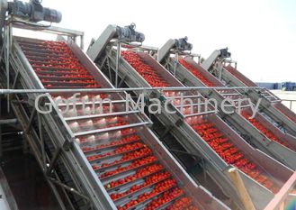 Equipamento de processamento automático 25T/D da pasta de tomate do saco asséptico 380V