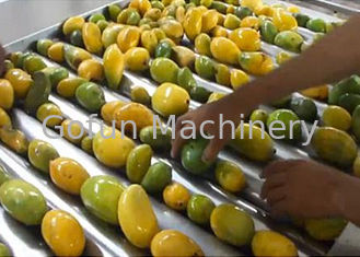 O fruto do produto comestível lasca a fatura do consumo da baixa potência da máquina 1500 T/dia
