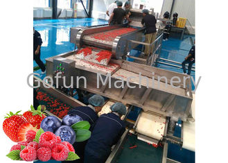 SUS 304 Berry Processing Equipment 10-100T/D dos frutos secos