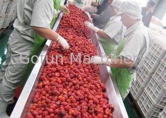 Turnkey livre - secando o controle de segurança industrial do secador do fruto para operadores