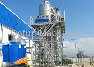 Equipamento de processamento profissional da fábrica de tratamento/frutas e legumes da cenoura