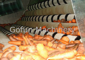 Fábrica de tratamento industrial da cenoura/equipamento de processamento estável da cenoura