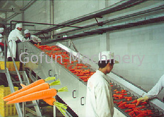 Equipamento de processamento profissional da fábrica de tratamento/frutas e legumes da cenoura