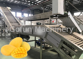 100T/D Linha de processamento de manga SUS304 Máquinas de processamento de suco de manga Serviço único