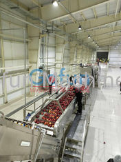 Linha de processamento de 3T/H Apple para Juice Complete Plant Preheating