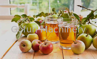 SS316 concentrado Apple Juice Processing Plant 25t/H para a bebida