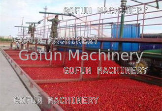 Fábrica de tratamento totalmente automático 304 do puré do tomate 5T/H de aço inoxidável