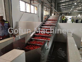 A ketchup de tomate automática industrial que faz a máquina 500T/D com água recicla o sistema
