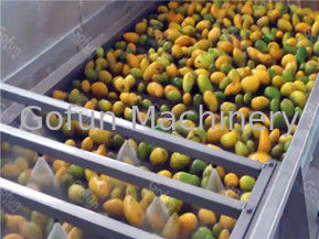 Manga automática Juice Processing Machine Production Line 1t/H - 20t/H