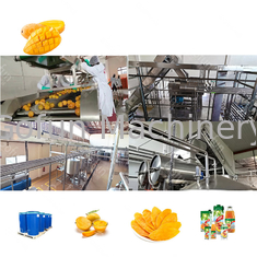 Linha automática de processamento de suco de manga de aço inoxidável industrial 1 - 10 t/h