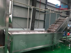 Que é a produção e processo do processamento de pera espinhosa?