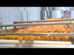 Linha de produção industrial de processamento de sumos NFC, um conjunto completo de limpeza, extracção de sumos, esterilização e