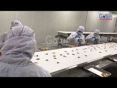 Máquina de processamento industrial de mangas secas para linha de produção de frutas e vegetais secos
