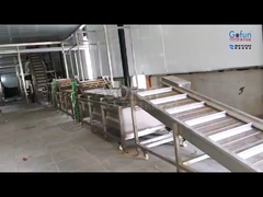 Equipamento de transformação de frutas tropicais: polpa + sumo + frutas secas três em um