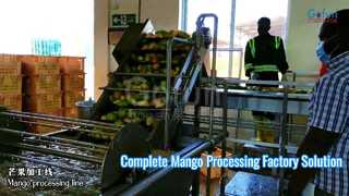 Solução completa de fábrica pronta para linha de processamento de manga