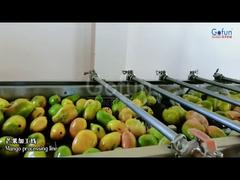 Linha de produção de suco de manga premium