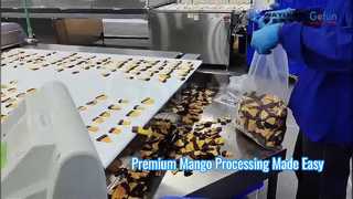 Linha de processamento de manga premium, solução de manga seca em borracha macia