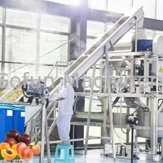 Linha de processamento profissional da concentração da ameixa da fábrica de tratamento do pêssego