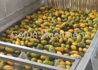Secador industrial automático do fruto/máquina de secagem do fruto industrial
