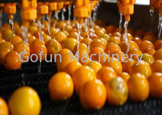 SUS304 500T/D Linha de processamento de citrinos Extração automática de suco