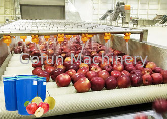 Linha profissional Apple da trasformação de frutos e máquina da produção do suco da pera