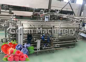 A linha de processamento Turnkey de Berry Paste Pulp Industrial Pasteurizer fácil limpa