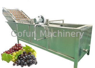 Esterilizando a máquina da extração do suco de uva de SS316 20T/H