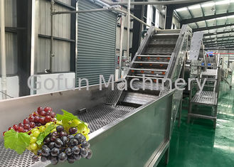 Máquina de lavar fresca da uva do equipamento de processamento do suco de fruto da economia da água favorável ao meio ambiente