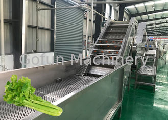 Linha de processamento estável produto comestível da cenoura do equipamento da transformação de produtos alimentares do aipo ISO9001