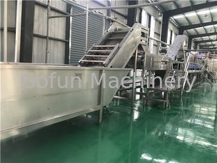 15T/Day SS304 concentrou o abacaxi Juice Production Line