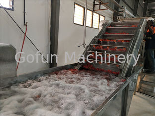 linha de processamento multifuncional do molho de tomate 250t/D