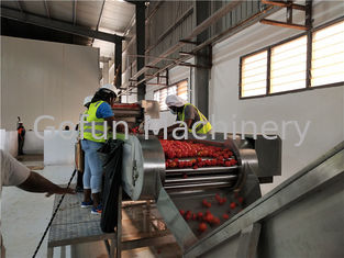 A linha de processamento água do tomate do Sus 403 da produção 15kw do molho recicla