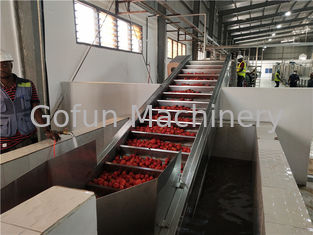 Linha de processamento 2000T/D vegetal concentrada tomate SS304