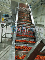 Linha de produção enchimento asséptico da ketchup de tomate 25T/H de produto comestível