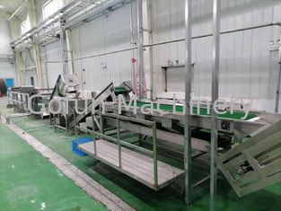 Linha de produção fábrica de tratamento da polpa da goiaba 500T/D da goiaba de 415V para o suco concentrado