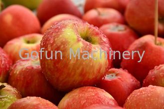 Ss304 Linha de processamento de maçã máquina automática para fazer suco de frutas 380 V
