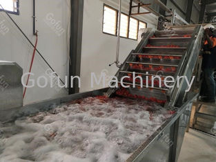 Linha de processamento de aço inoxidável molho concentrado da pasta de tomate 1500 T/D