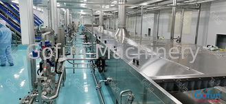 Linha de processamento de manga industrial 500T/D Serviço pronto para uso SUS304 / 316L