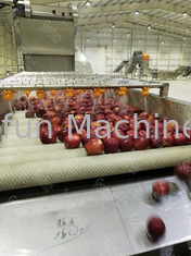 Eficiência elevada Apple Juice Processing Line Machine SUS316 30T/H 7.5kw